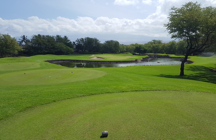 Mauna Lani Resort Golf #5 Picture