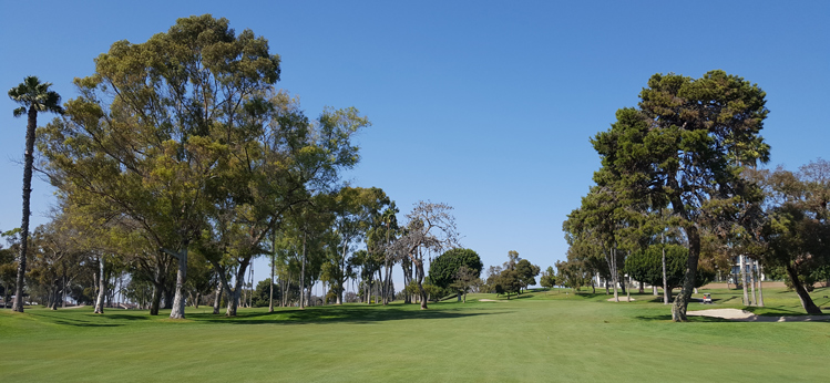 Newport Beach Country Club Golf Hole #7 Picture