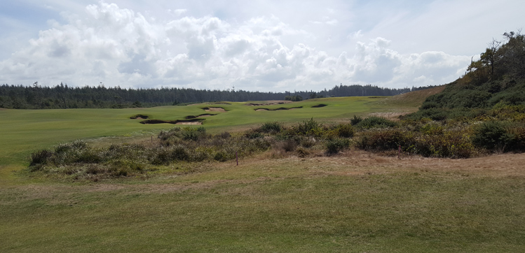 Old MacDOnald Golf Course Review Picture