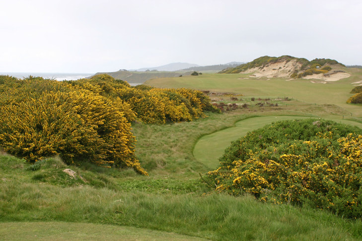 Pacific Dunes Golf #13 Picture