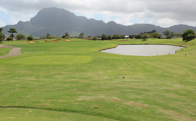 Puakea Golf Course #10 Picture