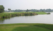 Florida Golf review Picture