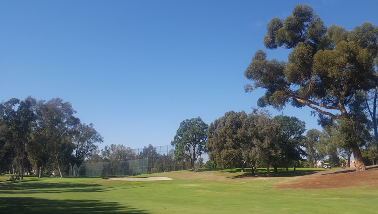 Rancho Park Golf Course Picture