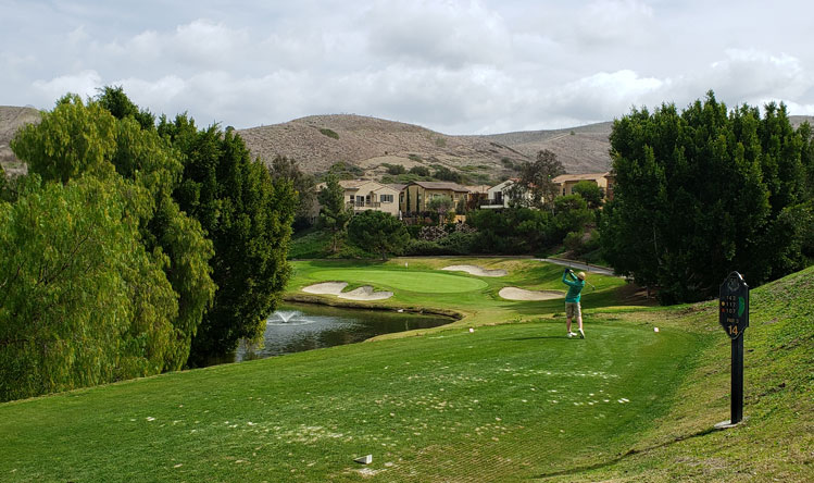 San Juan Hills Golf Hole #14 Picture