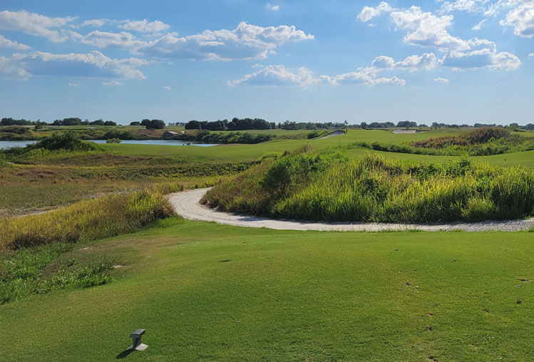 Streamsong Blue Golf Hole #13 Picture