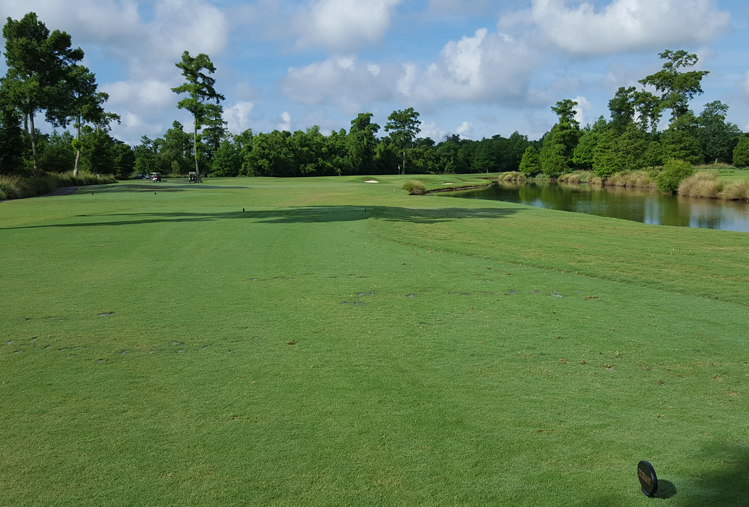 TPC Louisiana Golf #3 Picture