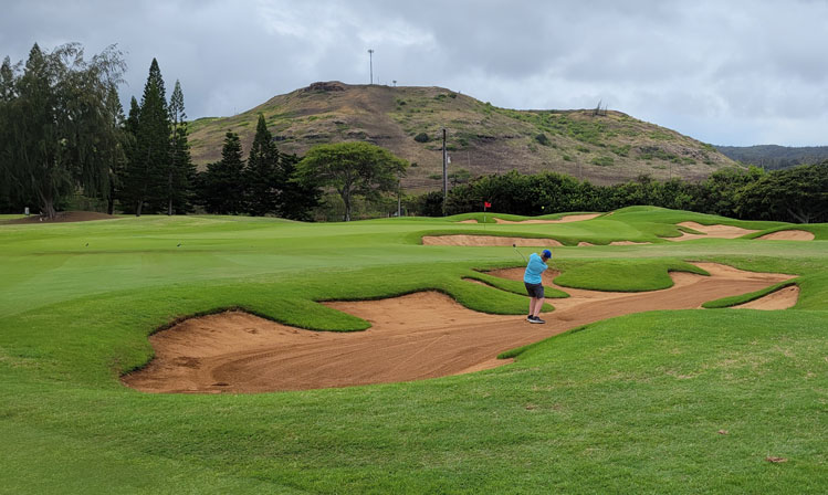 Turtle Bay Palmer Golf Hole #1 Picture