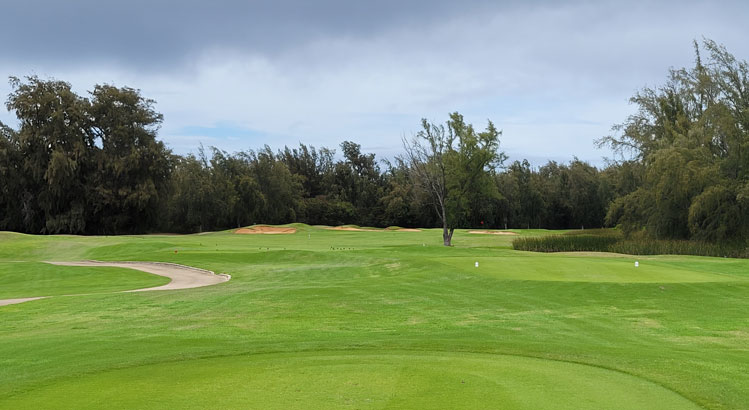 Turtle Bay Palmer Golf Hole #10 Picture