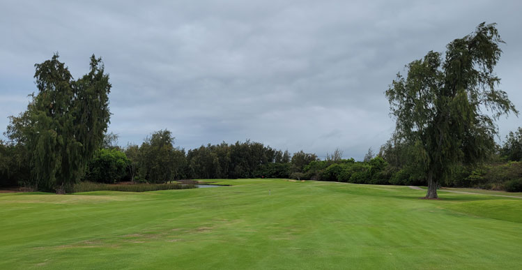 Turtle Bay Palmer Golf Hole #12 Picture