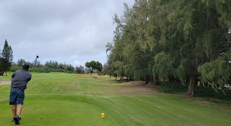 Turtle Bay Palmer Golf Hole #2 Picture