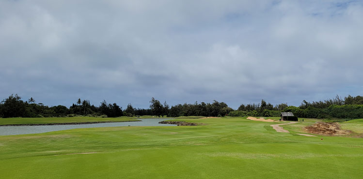 Turtle Bay Palmer Golf Hole #4 Picture