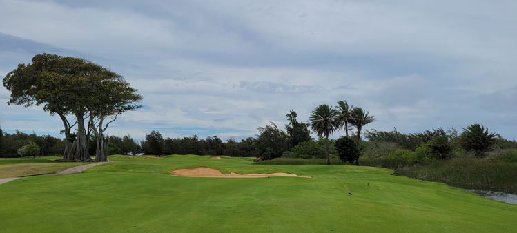 Turtle Bay Palmer Golf Hole #9 Picture