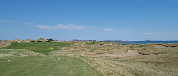 Whistling Straits Golf #11 Picture