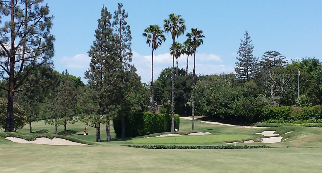 Private Los Angeles Golf Picture