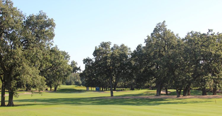 Windsor Golf Course Review Picture